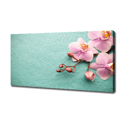 Foto quadro su tela Orchidea