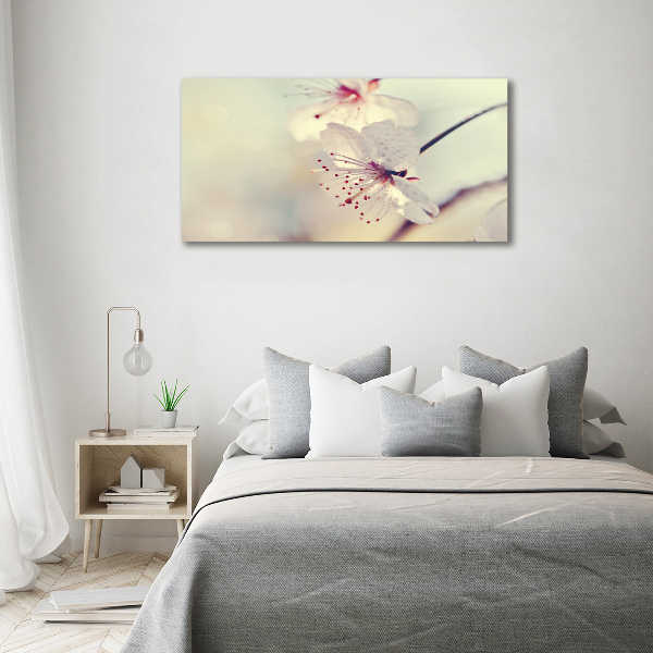 Quadro stampa su tela Fiori di ciliegio