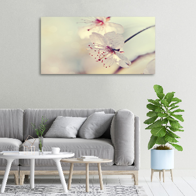Quadro stampa su tela Fiori di ciliegio