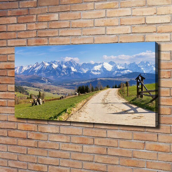 Quadro stampa su tela Panorama dei Monti Tatra