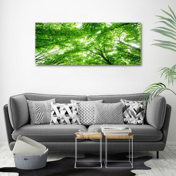 Foto quadro su tela Foresta verde