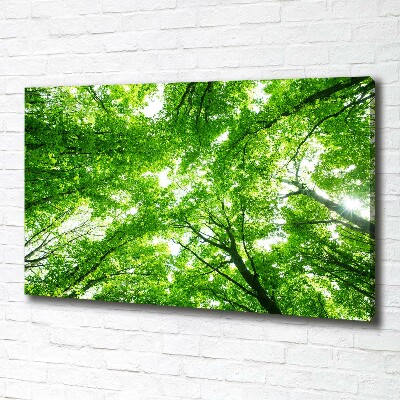 Foto quadro su tela Foresta verde
