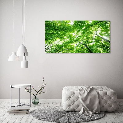 Foto quadro su tela Foresta verde