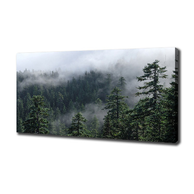 Quadro su tela Nebbia forestale