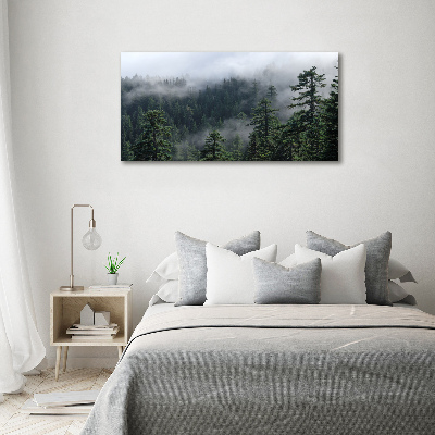 Quadro su tela Nebbia forestale