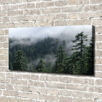 Quadro su tela Nebbia forestale