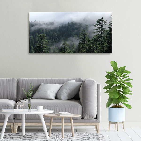 Quadro su tela Nebbia forestale