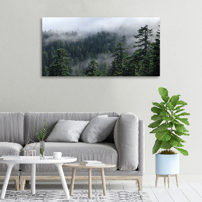 Quadro su tela Nebbia forestale