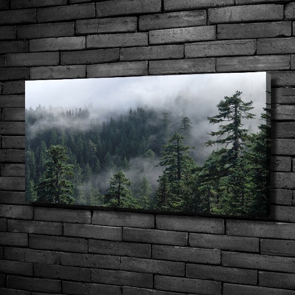 Quadro su tela Nebbia forestale