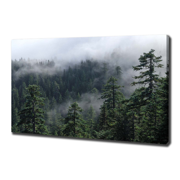 Quadro su tela Nebbia forestale
