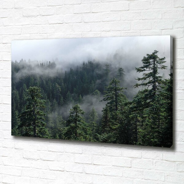 Quadro su tela Nebbia forestale