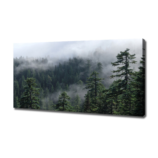 Quadro su tela Nebbia forestale