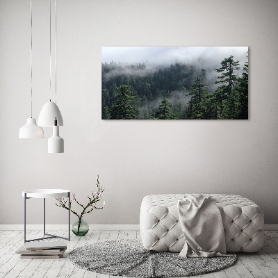 Quadro su tela Nebbia forestale