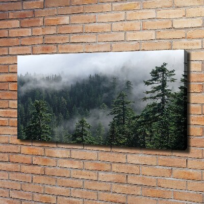 Quadro su tela Nebbia forestale