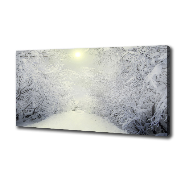 Foto quadro su tela Una foresta meravigliosa in inverno
