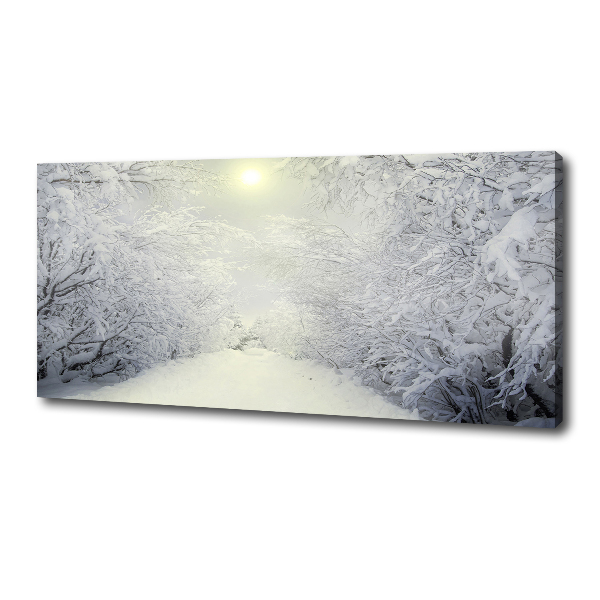 Foto quadro su tela Una foresta meravigliosa in inverno