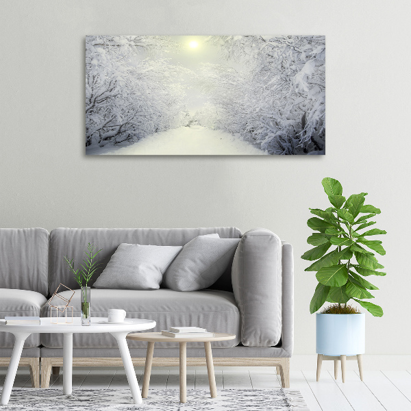 Foto quadro su tela Una foresta meravigliosa in inverno