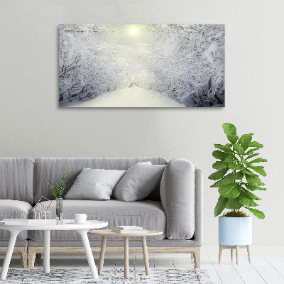 Foto quadro su tela Una foresta meravigliosa in inverno