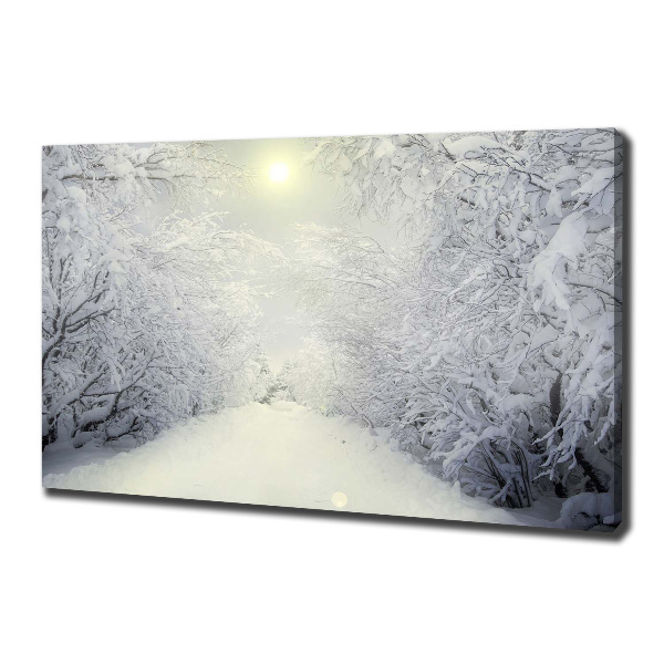Foto quadro su tela Una foresta meravigliosa in inverno