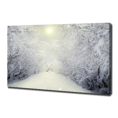 Foto quadro su tela Una foresta meravigliosa in inverno