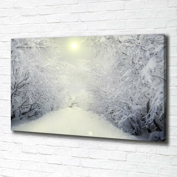 Foto quadro su tela Una foresta meravigliosa in inverno