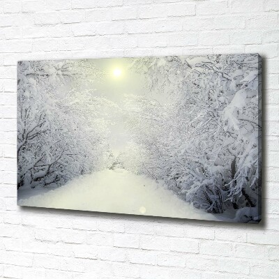 Foto quadro su tela Una foresta meravigliosa in inverno