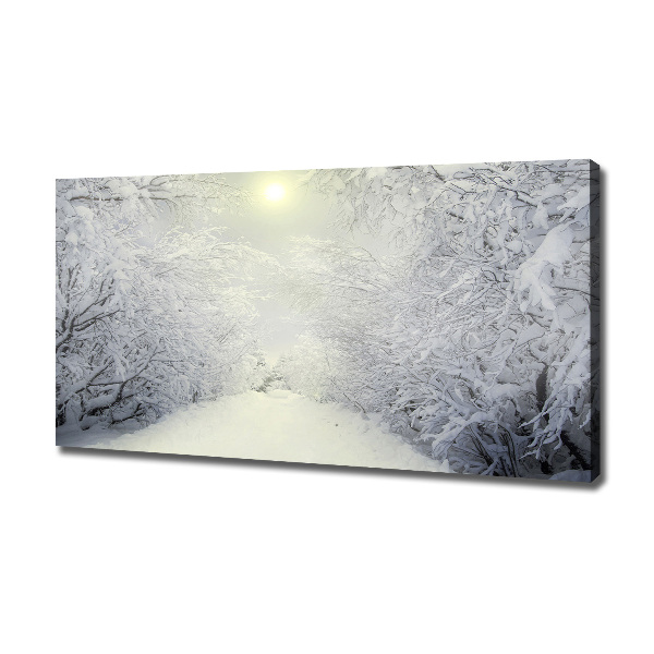 Foto quadro su tela Una foresta meravigliosa in inverno