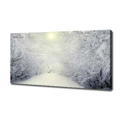 Foto quadro su tela Una foresta meravigliosa in inverno