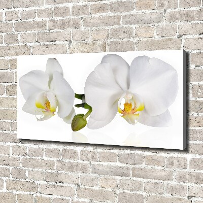 Quadro stampa su tela Orchidea