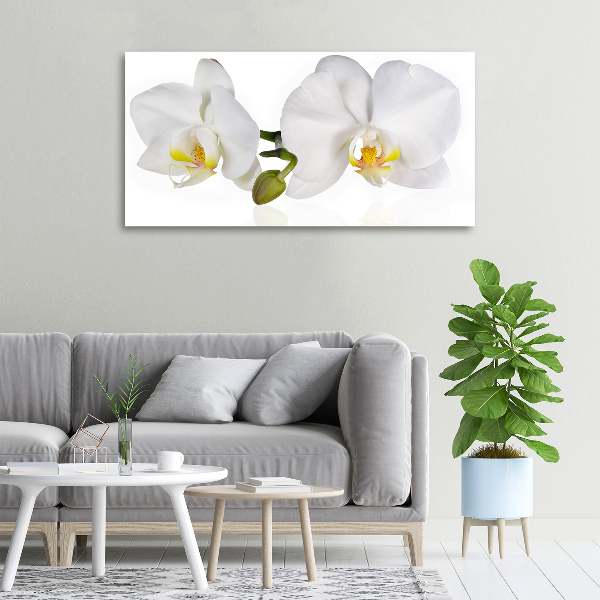 Quadro stampa su tela Orchidea
