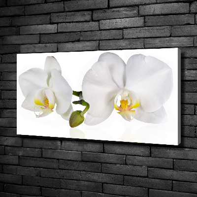 Quadro stampa su tela Orchidea