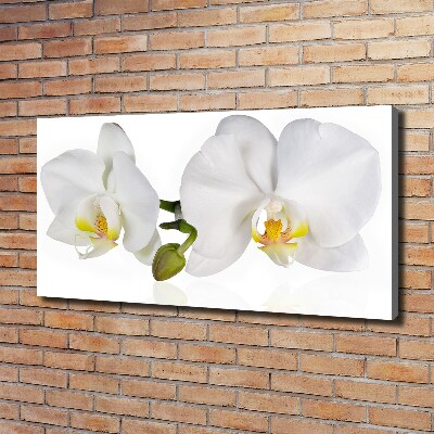 Quadro stampa su tela Orchidea