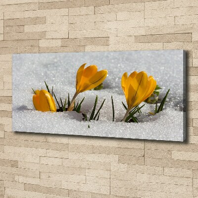 Quadro su tela Crochi nella neve