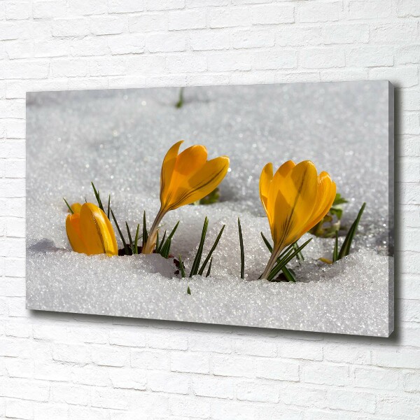 Quadro su tela Crochi nella neve