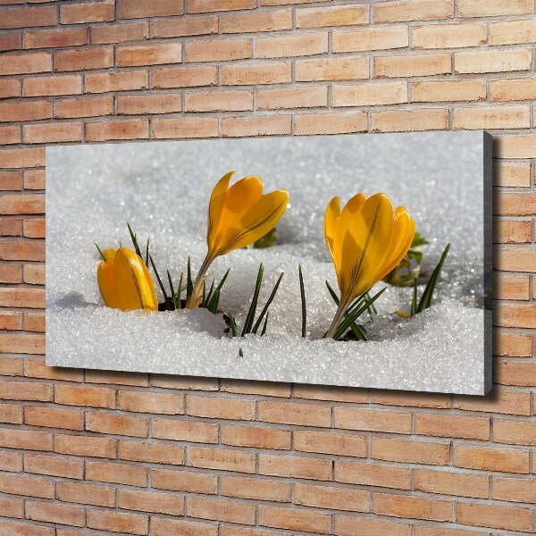 Quadro su tela Crochi nella neve