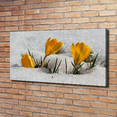 Quadro su tela Crochi nella neve