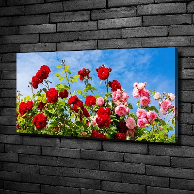 Quadro stampa su tela Rose selvatiche