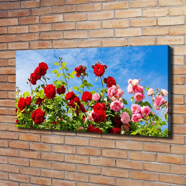 Quadro stampa su tela Rose selvatiche