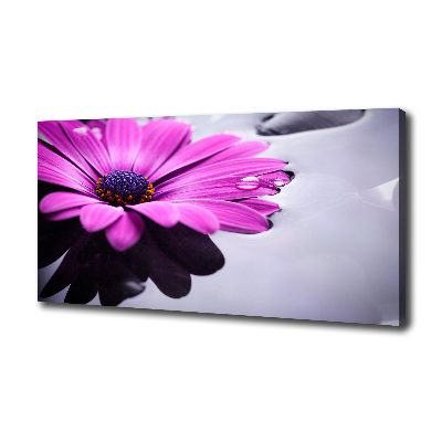 Quadro su tela Gerbera