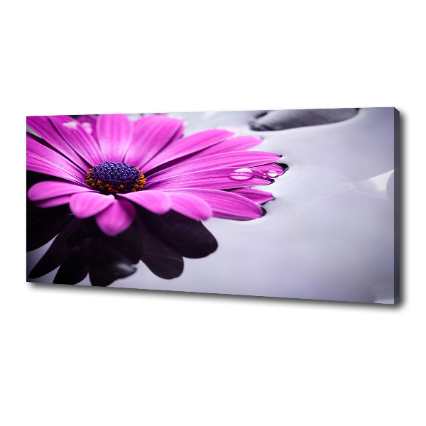 Quadro su tela Gerbera