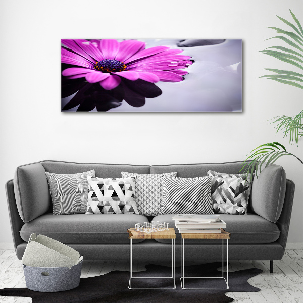 Quadro su tela Gerbera