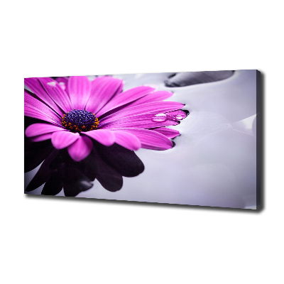 Quadro su tela Gerbera
