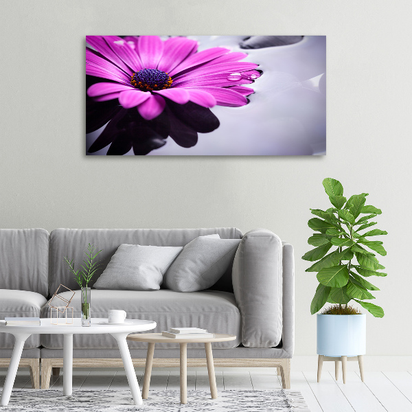 Quadro su tela Gerbera