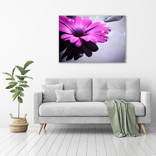 Quadro su tela Gerbera