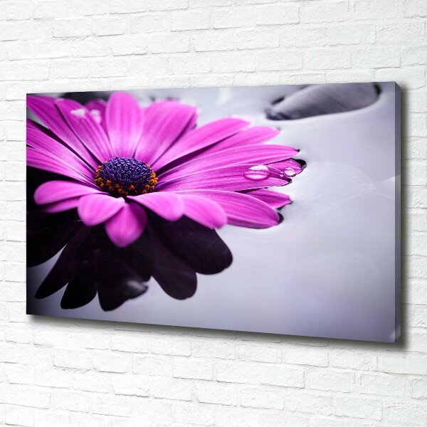 Quadro su tela Gerbera
