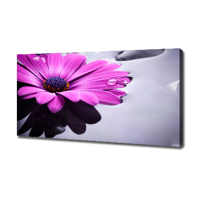 Quadro su tela Gerbera