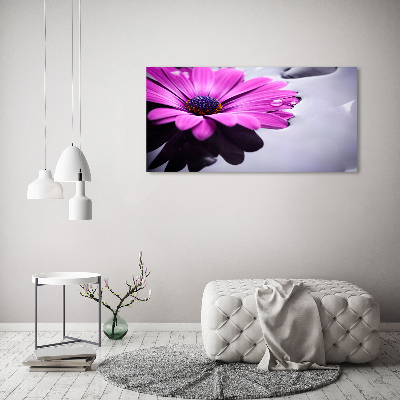 Quadro su tela Gerbera