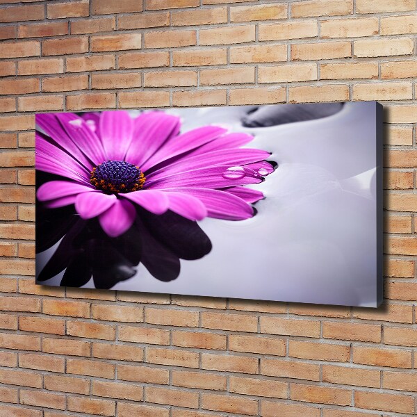 Quadro su tela Gerbera