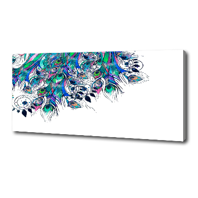 Foto quadro su tela Piume di pavone