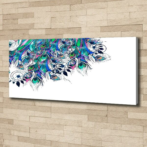 Foto quadro su tela Piume di pavone